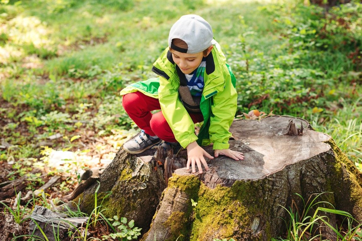 Kind spielt am Baumstumpf.jpg